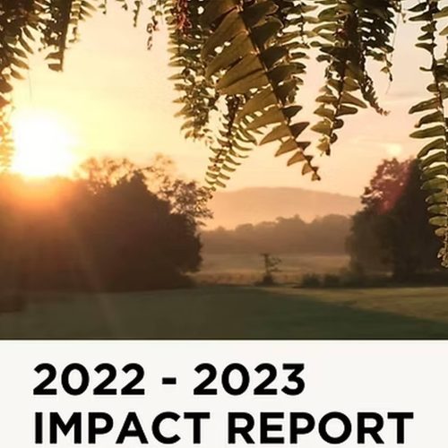 2022-2023-impact-report